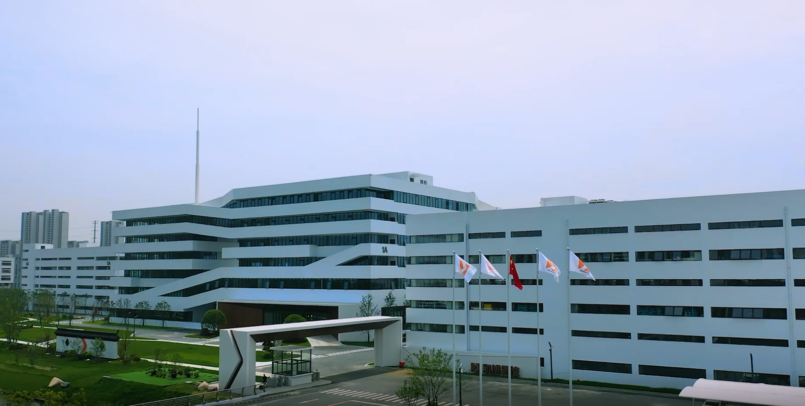 Company Profile